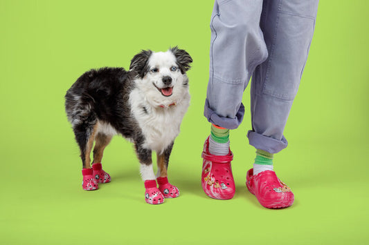 Pet Crocs to a Life-Sized Crocs Costume, Croctober Makes Fans' Wildest Dreams a Reality Paw Fashion: Crocs Unveils Pet Crocs and More for Fans and Their Furry Friends