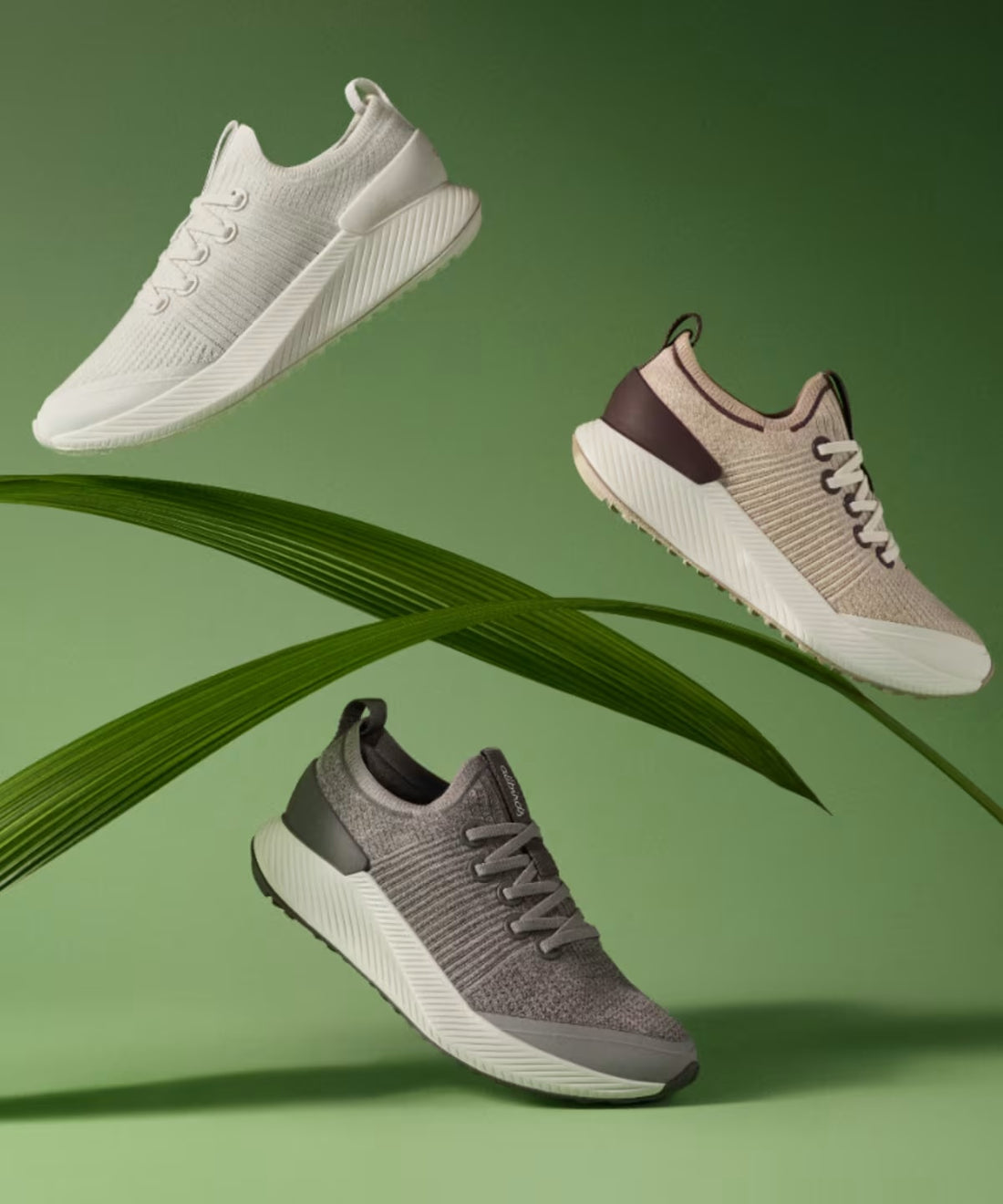 Embrace the summer vibes with Allbirds's Tree Glider, the latest style designed for effortless movement.