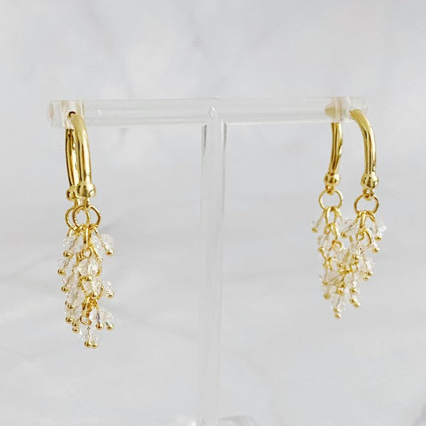 Golden Hoop Acrylic Pearl Beaded Earrings - steven wick